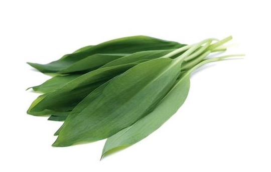 출처: 농식품정보누리