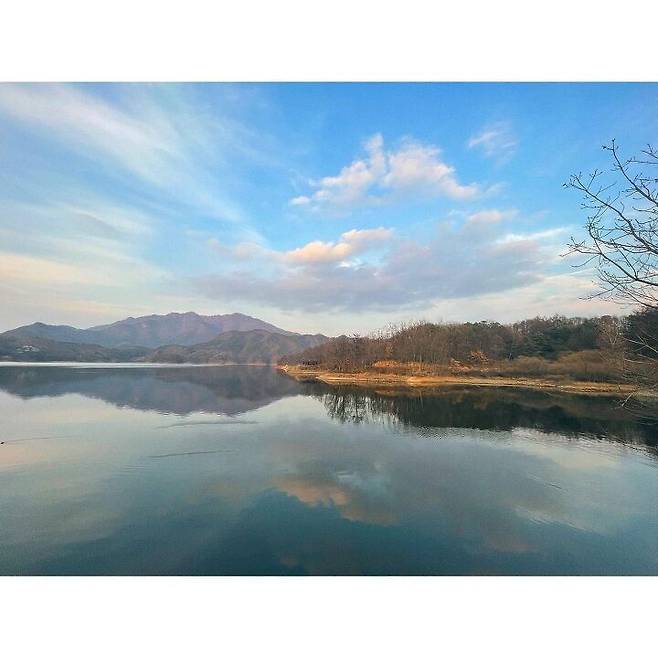 출처: @ringaringaring__