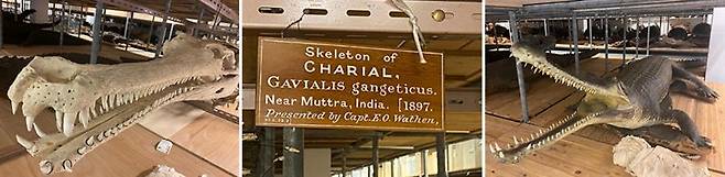 출처: 패트릭 캠벨