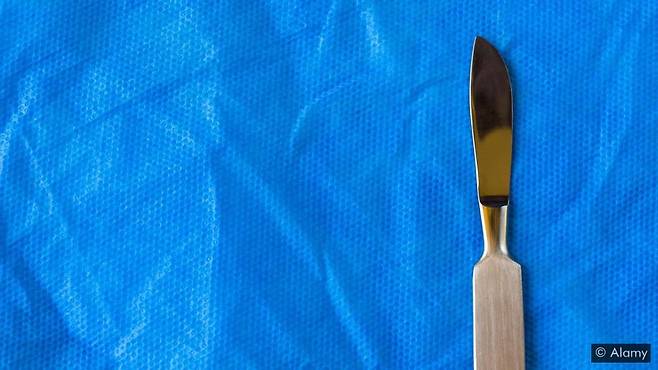 출처: Getty Images