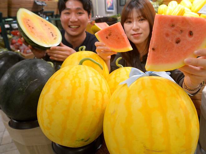 어디까지 먹어봤니 맛도 모양도 다른 수박 종류 10 데일리