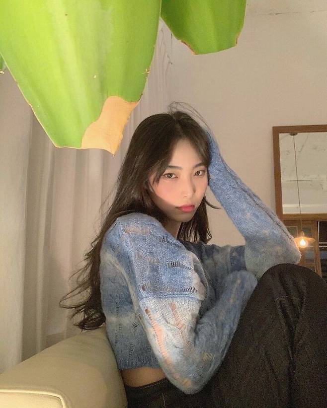 출처: 파이스타일 (파이베트)