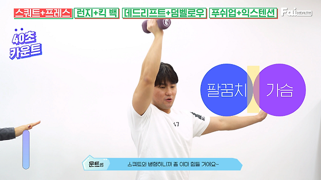 출처: 파이헬스 (파이베트)