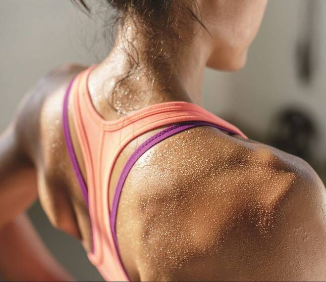 출처: 머슬앤피트니스