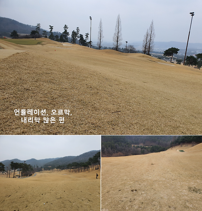 출처: allthatgolf.kr