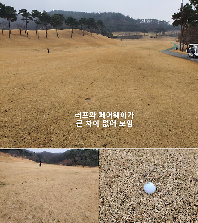 출처: allthatgolf.kr