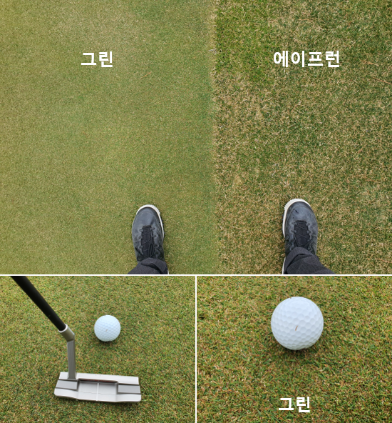 출처: allthatgolf.kr