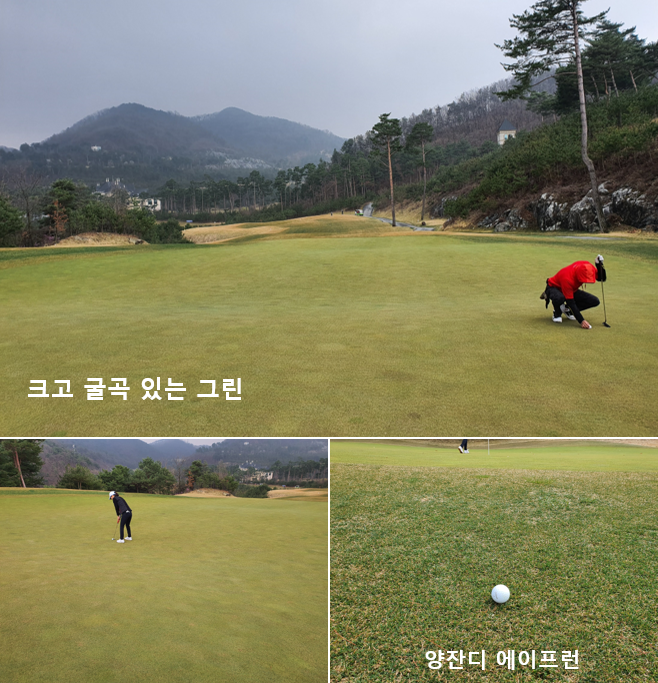 출처: allthatgolf.kr