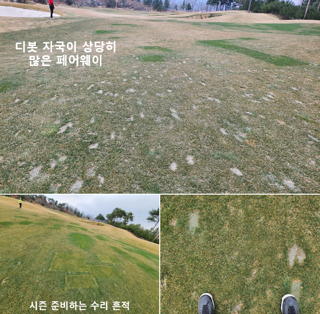 출처: allthatgolf.kr