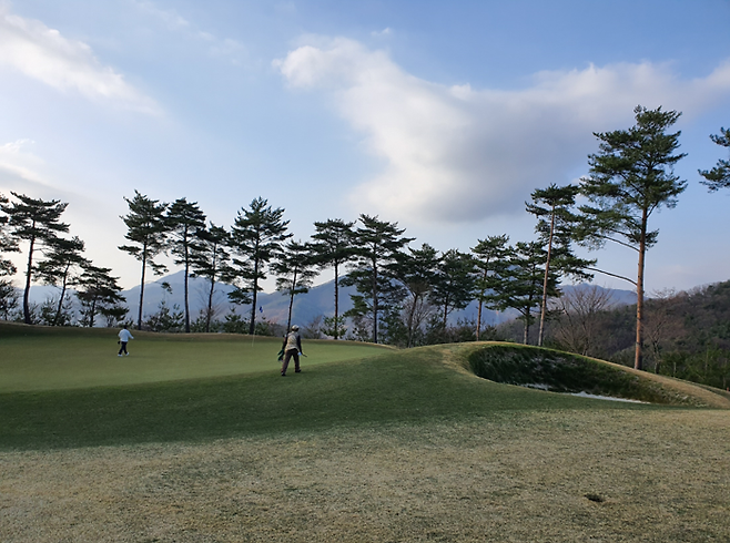 출처: allthatgolf.kr