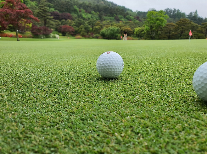 출처: allthatgolf.kr