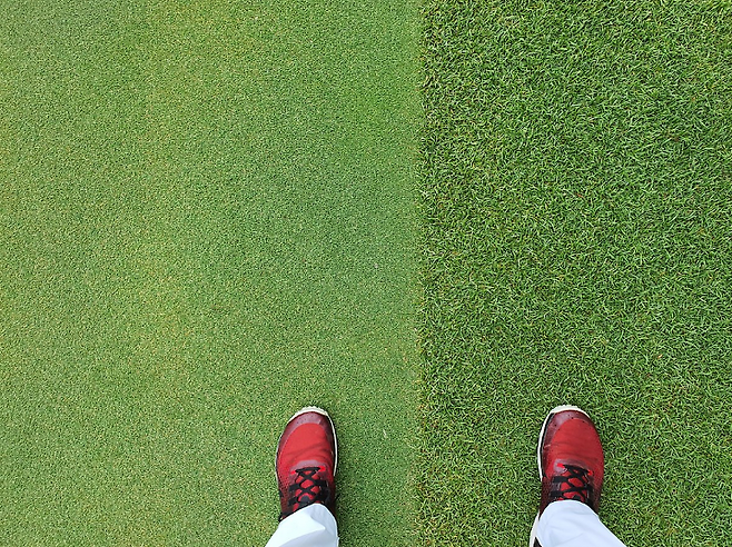 출처: allthatgolf.kr