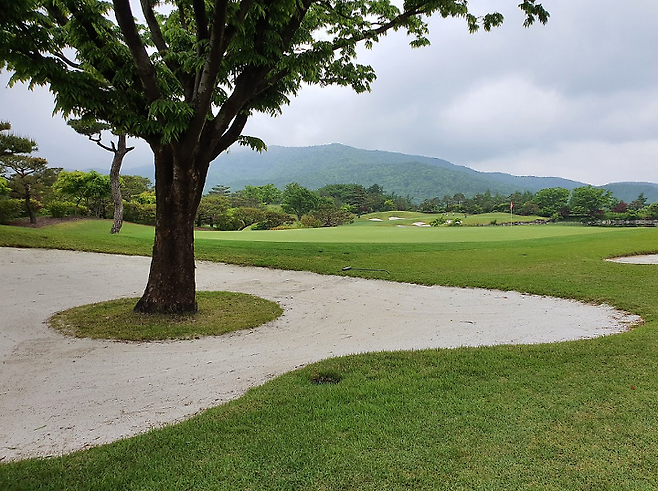 출처: allthatgolf.kr