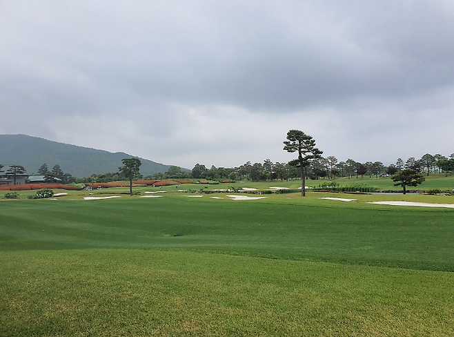 출처: allthatgolf.kr