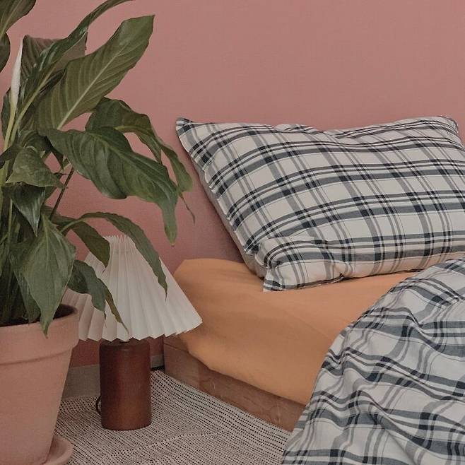 출처: <이불커버><조명> 등 제품정보 모아보기(▲이미지클릭)