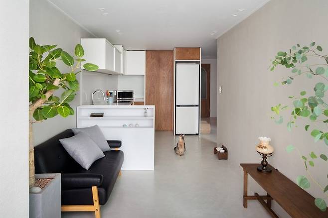 출처: <의자>외 집들이 제품 정보 보러가기 (▲이미지 클릭)