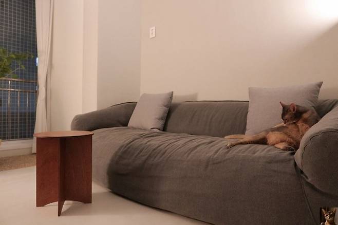 출처: <소파> 제품 정보 보러가기 (▲이미지 클릭)