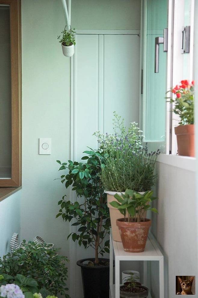 출처: 사진 속 집들이 제품 정보 보러가기 (▲이미지 클릭)