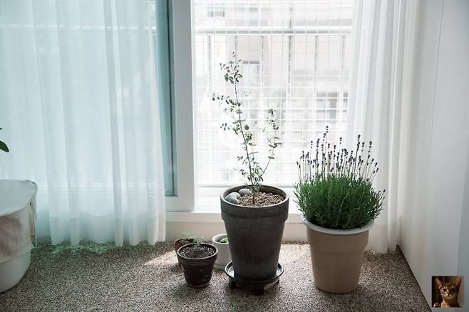 출처: 사진 속 집들이 제품 정보 보러가기 (▲이미지 클릭)