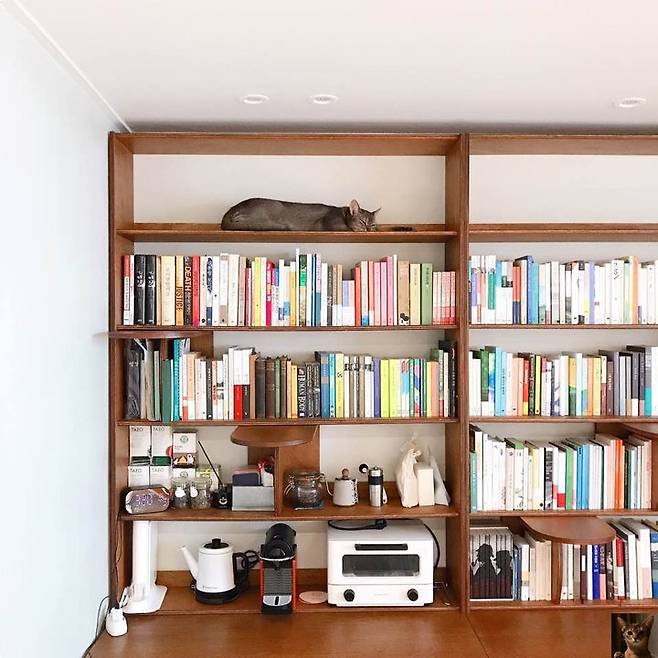 출처: 사진 속 집들이 제품 정보 보러가기 (▲이미지 클릭)