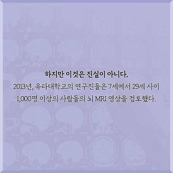 출처: 책식주의