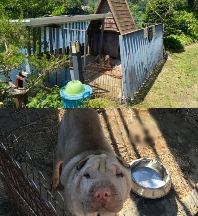 출처: 온라인커뮤니티