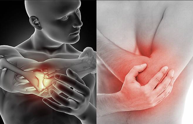 출처: https://www.freepik.com/home