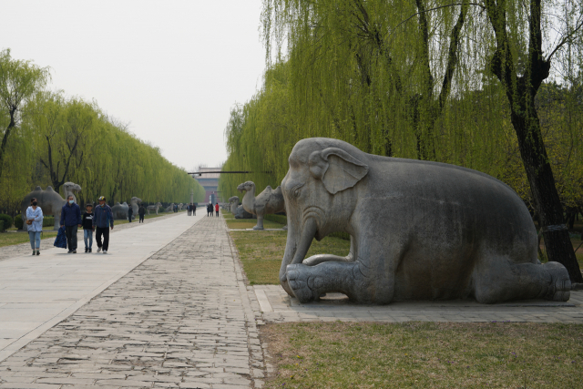 중국 베이징의 ‘명13릉’ 입구에 위치한 신도를 관람객들이 살펴보고 있다. 거대한 동물 석상들이 당시 황제의 권력을 웅변하고 있다. 특히 코끼리는 앉을 때 앞다리을 꿇는데 이는 예의를 상징한다는 생각에 즐겨 활용됐다. /최수문기자