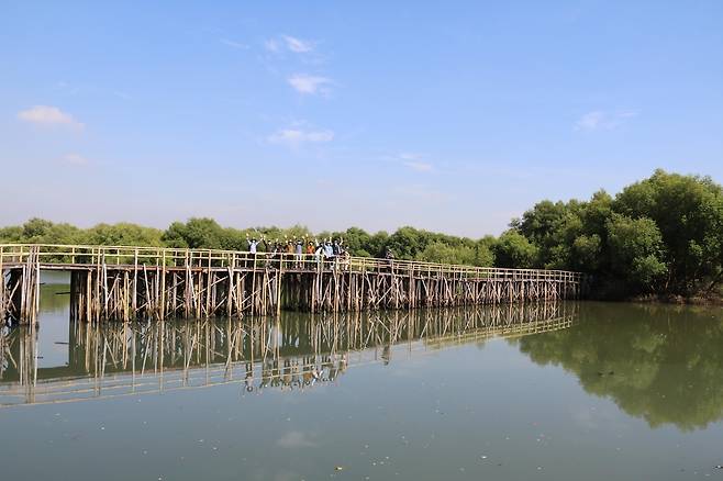 맹그로브 숲 속으로 이어진 대나무 산책길 [자카르타=연합뉴스]
