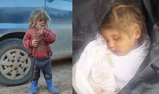 [사진 트위터 캡처]