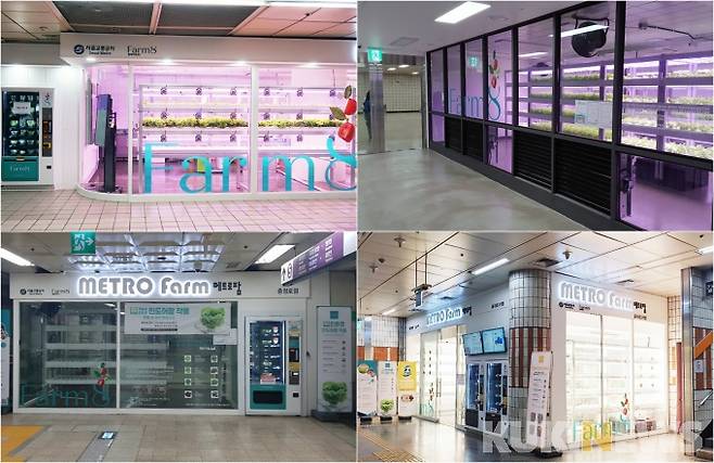 (왼쪽 위부터 시계방향으로) 메트로팜 답십리점, 천왕점, 을지로3가점, 충정로점.