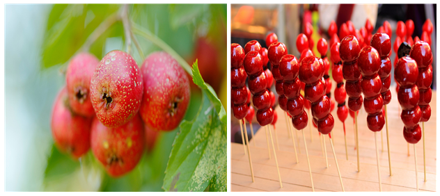 산사자(山査子, 왼쪽)와 중국 간식류인 탕후루(糖葫蘆).