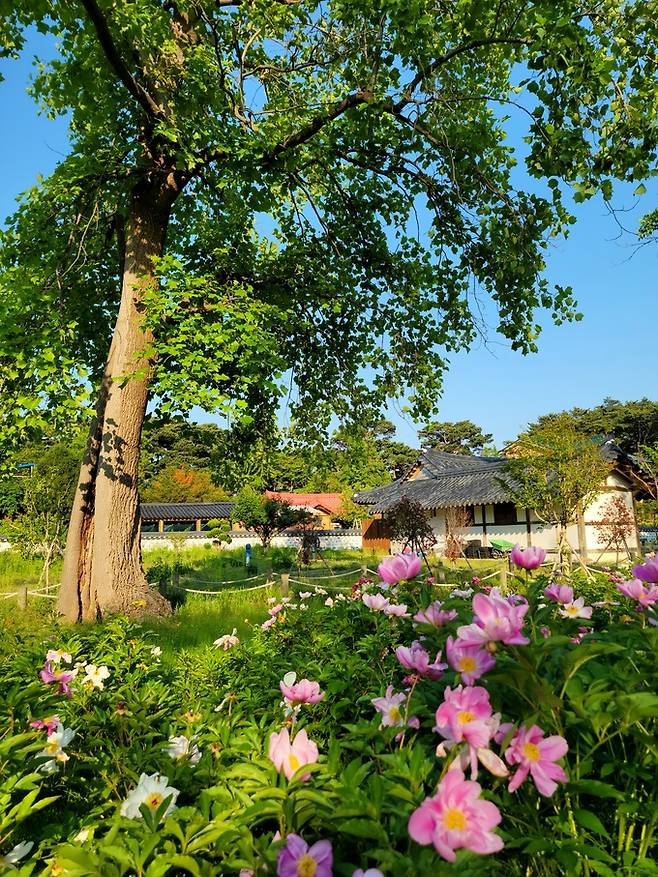 허균·허난설헌 기념공원