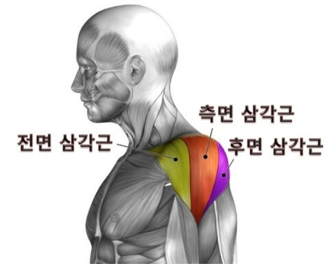 랫풀다운으로 어깨운동 하는 꿀팁~! | 더베네핏