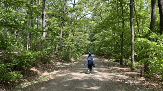 국립수목원에는 산책하기 좋은 길이 다수 있다. 박시은 학생기자는 ‘소소한 행복 길’을 걸어 전나무 숲으로 향했다.