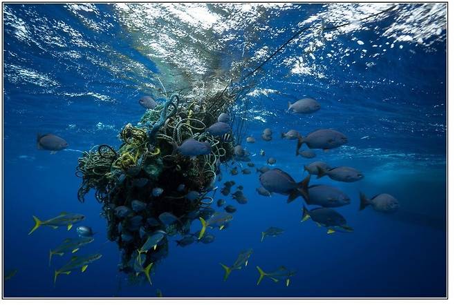 해양에는 5조 2,500억개의 플라스틱 조각이 떠다니고 있으며, 그 무게는 268,940톤에 달하는 것으로 평가되었다. 그린피스 제공