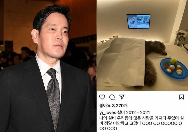 정용진 신세계그룹 부회장(왼쪽)이 지난 7일 자신의 인스타그램에 반려견 추모 사진을 올리면서 "미안하고 고맙다"는 글을 남겼다./사진=머니투데이DB, 정 부회장 인스타그램