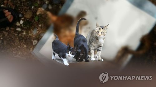 자료=연합뉴스