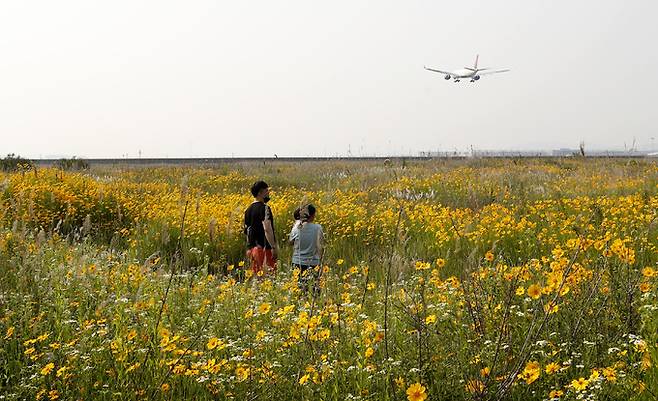 인천공항 주변 하늘공원 인근에서 바라본 모습. 뉴스1