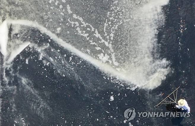 소래 염전 채염 작업 [연합뉴스 자료사진]