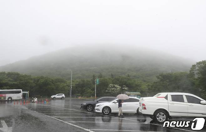 호우특보가 발효 중인 11일 오전 제주 한라산국립공원에 폭우가 쏟아지고 있다.2021.6.11/뉴스1 © News1 오현지 기자