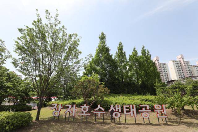 장자호수생태공원은 2010년 도심 근린공원으로 조성돼 여행객과 시민의 사랑을 받고 있다.ⓒ박준규