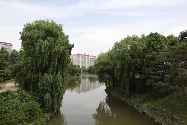 도심 속 쉼터 장자호수생태공원 풍경. ⓒ박준규