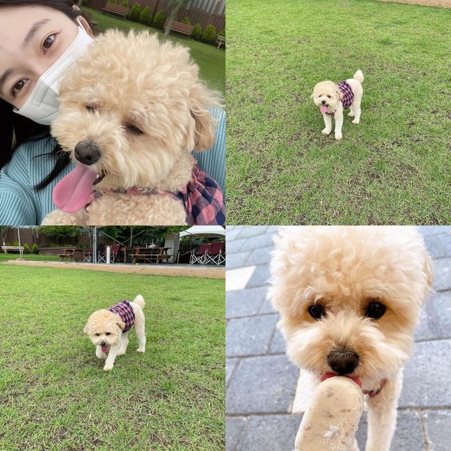 Actor Baek Jin-hee took a photo with Pet Bongbongi, Gong Yoo.On the afternoon of the 11th, Baek Jin-hee posted several photos on his instagram with the article Smart bottom and Gong Yoo.In the photo, Baek Jin-hee is taking pictures with Pet with his love-filled eyes.Pet Bongbong has been enjoying the Ice cream for dogs and has shown a cute charm.In Bongbongs photo, netizens are interested in the comments, Is Bongbong delicious for Ice cream?, Bongbong is beautiful, It is so cute, I am excited to go out, and Have you had a good time.Meanwhile, Baek Jin-hee made his debut in 2008 with the movie Finding People. Since then, he has been active in various works such as my daughter, Golden Month, Lets do the ceremony, and I love to die.Baek Jin-hee SNS