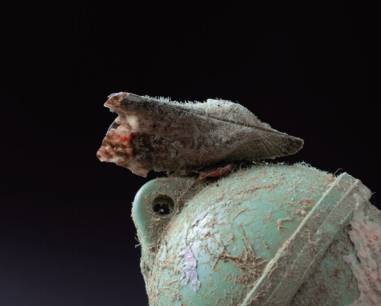 기묘한 낯선: 푸른부표│ 바위에 붙어 자라는 홍합은 어떤 이유로 부표 위에 자리잡았을까. 푸른색 부표 위에 위태롭게 자리잡은 홍합과 해조류의 흔적이 환경오염이라는 문제를 짊어진 지구의 모습을 보이는 듯하다. 2019년 제주에서 마주한 뉴락을 촬영한 사진이다. 장한나 제공