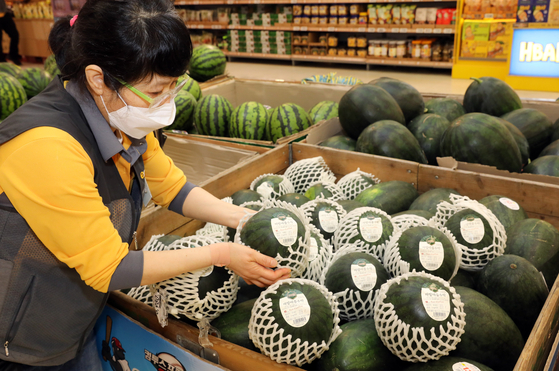 An employee displays apple watermelons at Emart’s Seongsu branch in eastern Seoul. [EMART]