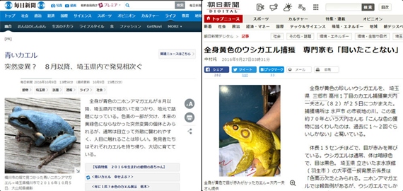 일본 마이니치신문 사이트 캡처, 일본 아사히신문 사이트 캡처