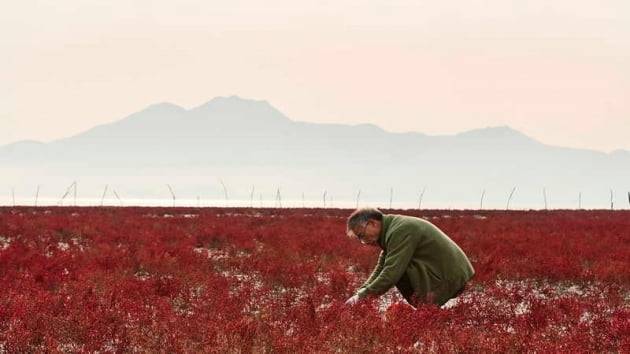 故 임지호 /사진 = 영화 '밥정' 스틸컷