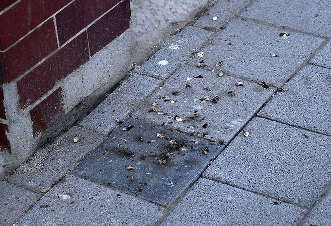 제비집 아래 바닥에는 항상 배설물이 떨어져 있다. 주민들은 매일 치우면서도 아랑곳하지 않는다.