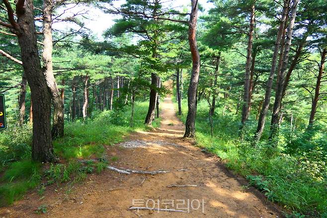 모노골산림욕장